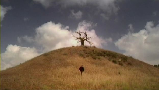 Carnivale - that tree